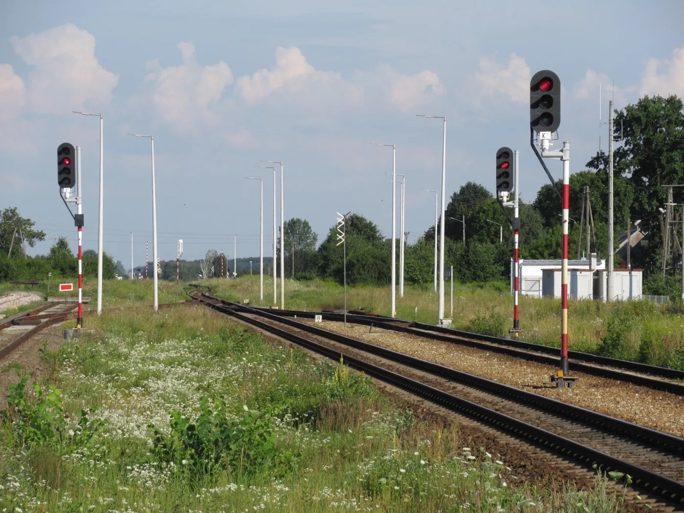 Tory kolejowe z semaforami, stacja Radzyń Podlaski